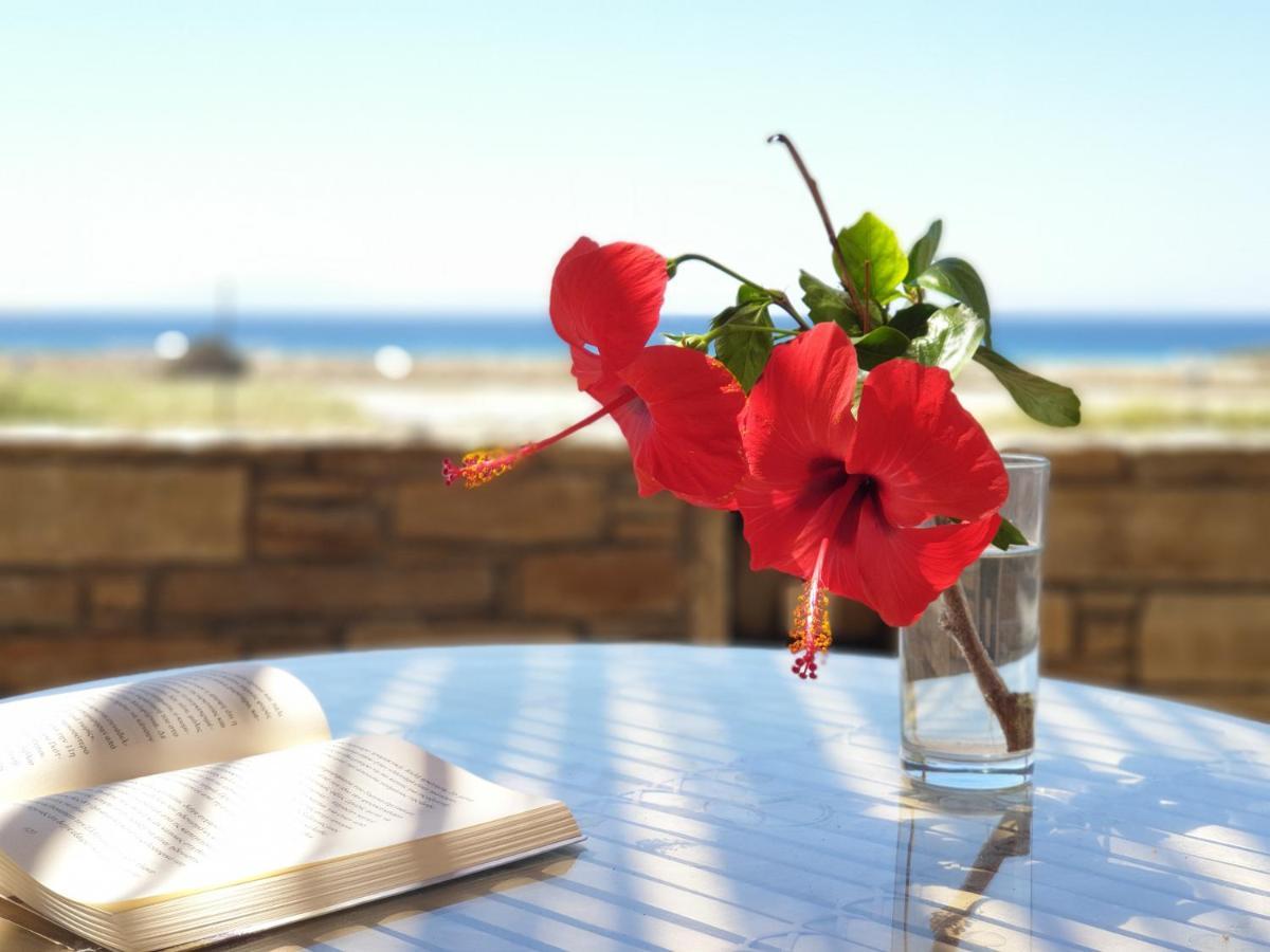 Kyma Apartments - Naxos Agios Prokopios المظهر الخارجي الصورة