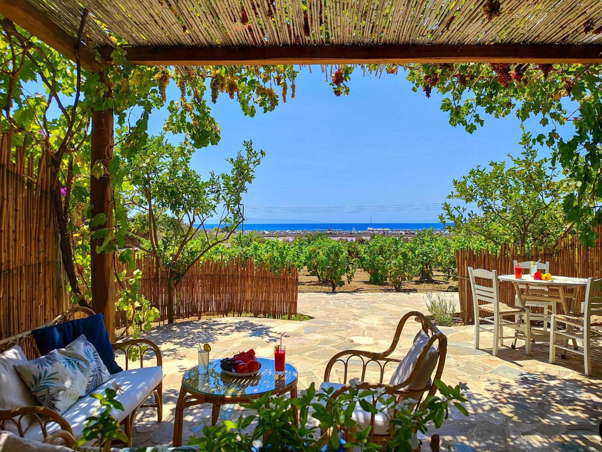 Kyma Apartments - Naxos Agios Prokopios المظهر الخارجي الصورة